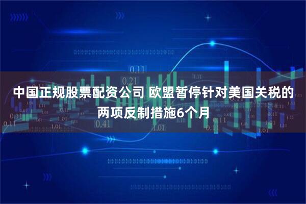 中国正规股票配资公司 欧盟暂停针对美国关税的两项反制措施6个月